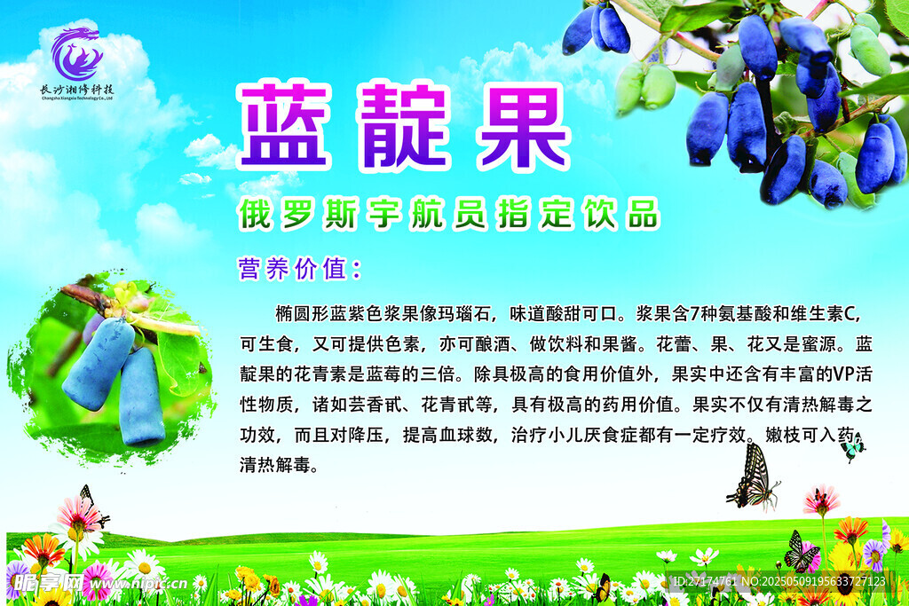 蓝靛果海报