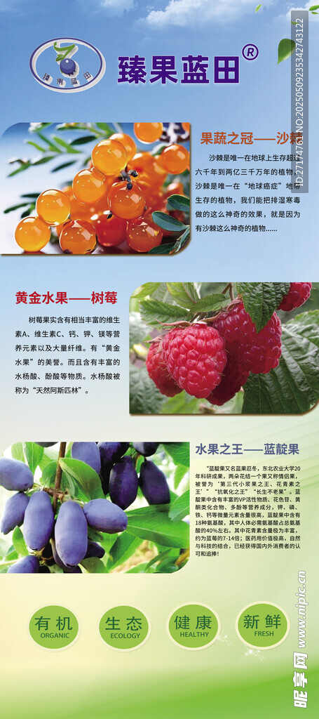 五常大米易拉宝