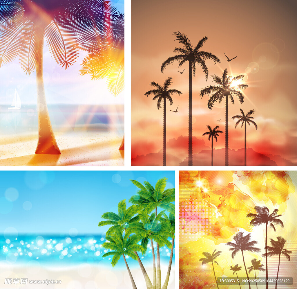 夏日海滨椰树风景组图
