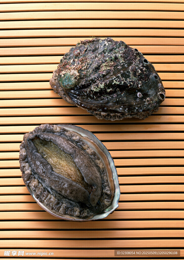 鲍鱼