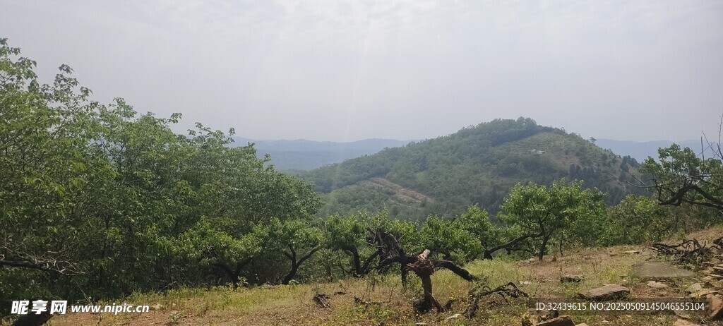 山间开阔草地风景