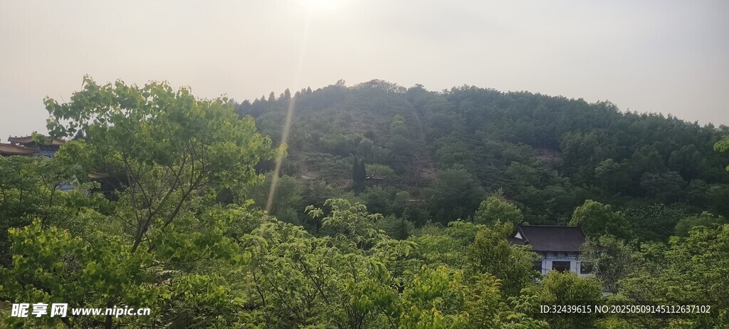 山林绿意景观
