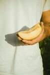 手中的美味甜瓜