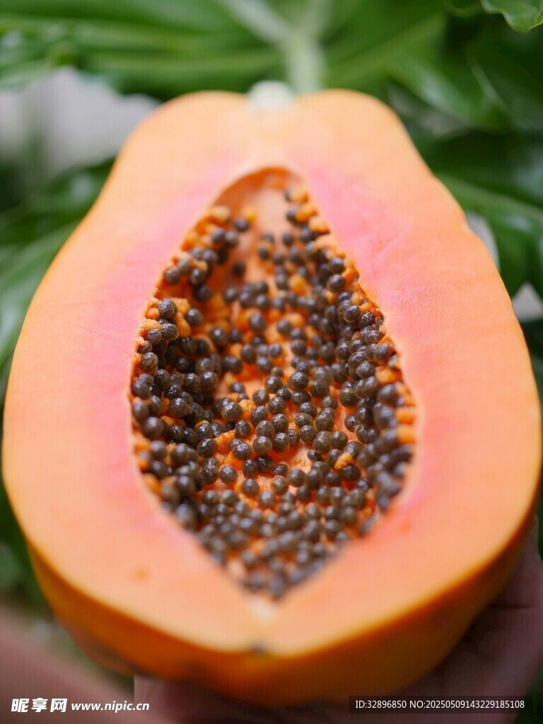 切开的新鲜木瓜果肉饱满
