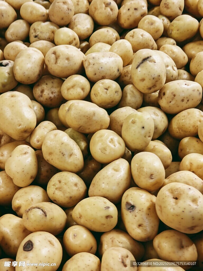 大量新鲜土豆堆成小山