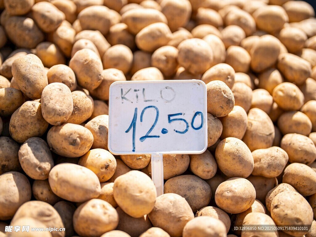 鹰嘴豆售价