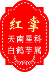 红掌 天南星科白鹤芋属植物