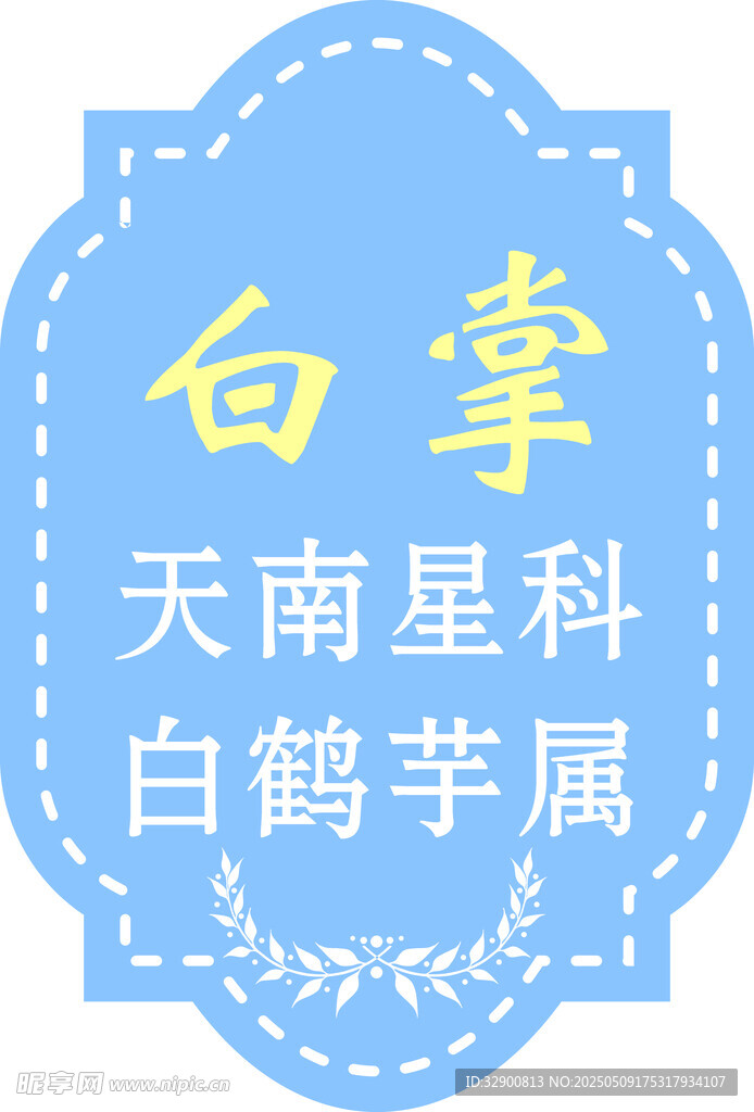 白掌
