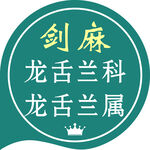剑麻