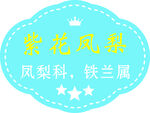 紫花凤梨铁兰属植物标识