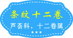条纹十二卷植物标识