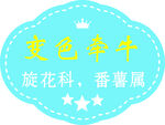 黄色牵牛