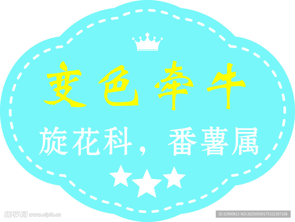 黄色牵牛