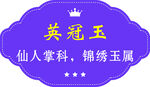 英冠玉仙人掌锦绣玉属