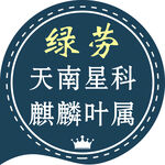绿劳