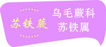 苏铁属乌毛蕨科植物信息
