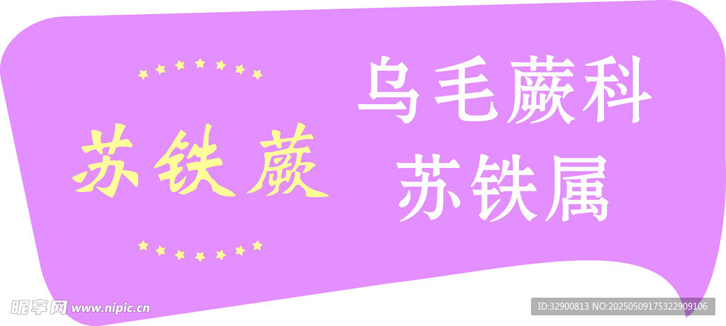 苏铁属乌毛蕨科植物信息
