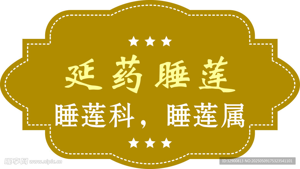 延药睡莲 睡莲科植物