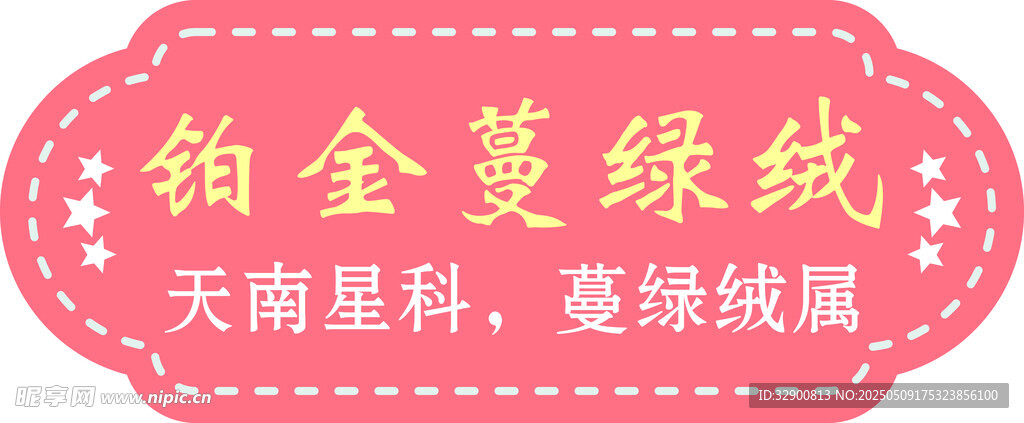 铂金蔓绿绒植物标识牌