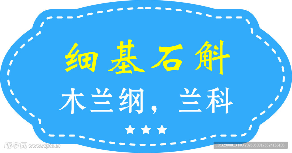 细基石斛