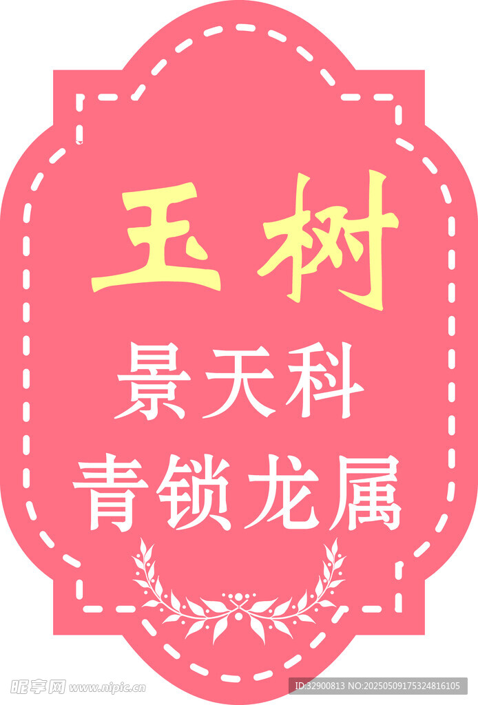 玉树植物