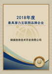 年度最具潜力互联网企业奖