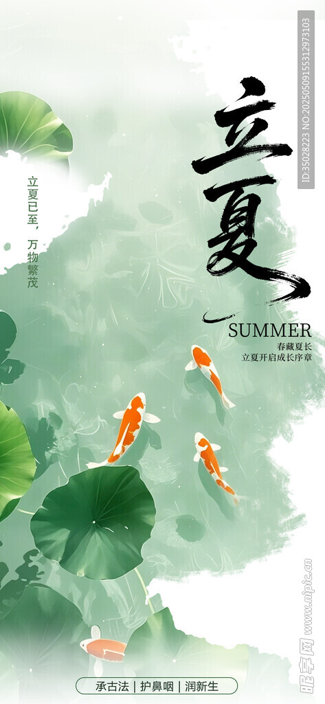 立夏时节绿意盎然图景