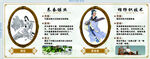 养蚕缫丝