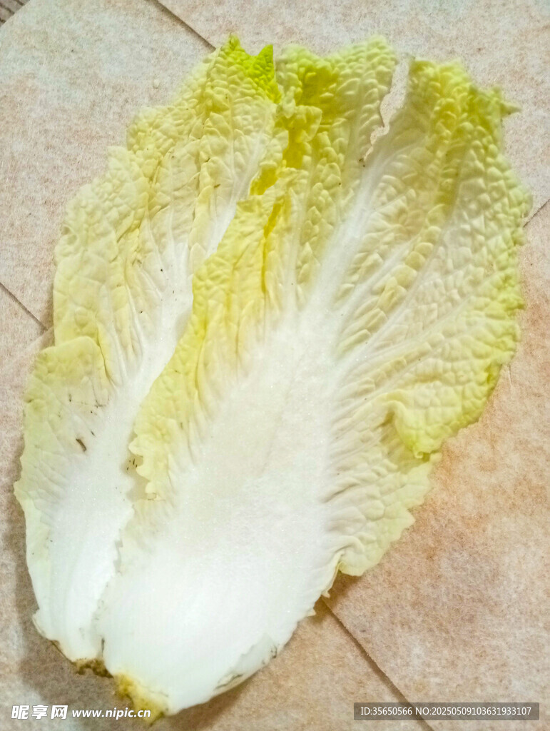新鲜半颗大白菜