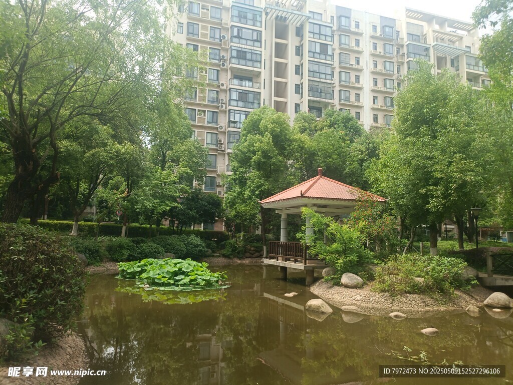 小区内的静谧水景凉亭