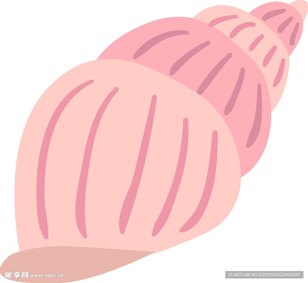 粉色条纹海螺插画