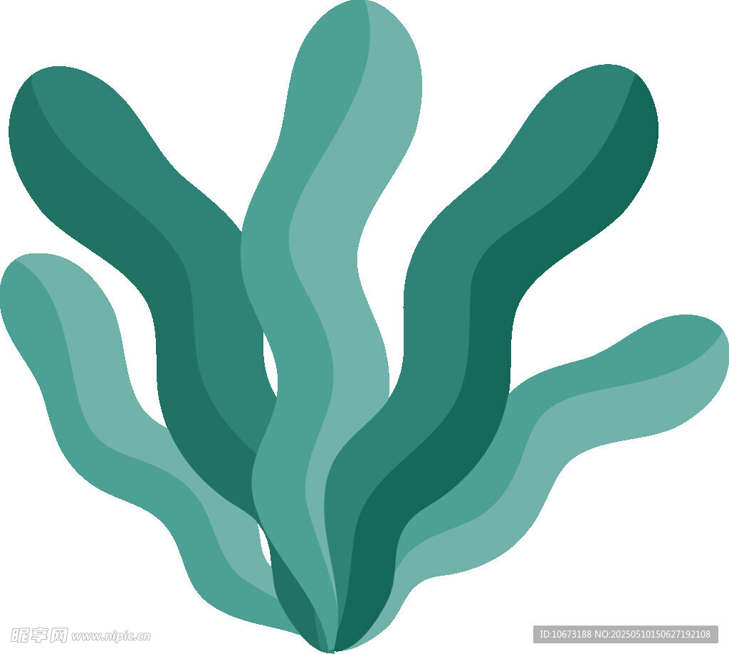 绿色海草插画