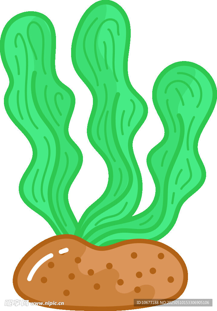 卡通海藻插画