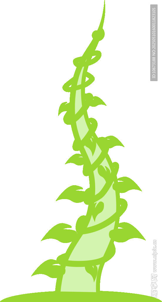 绿色藤蔓植物插画