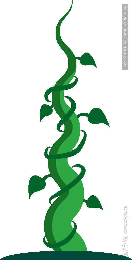 缠绕生长的绿色藤蔓植物