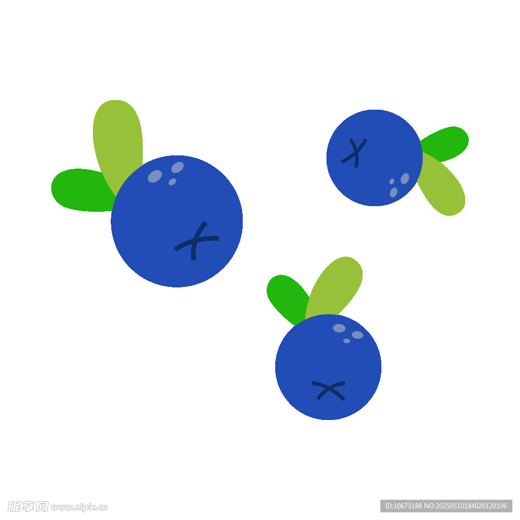 三颗带叶蓝莓插画