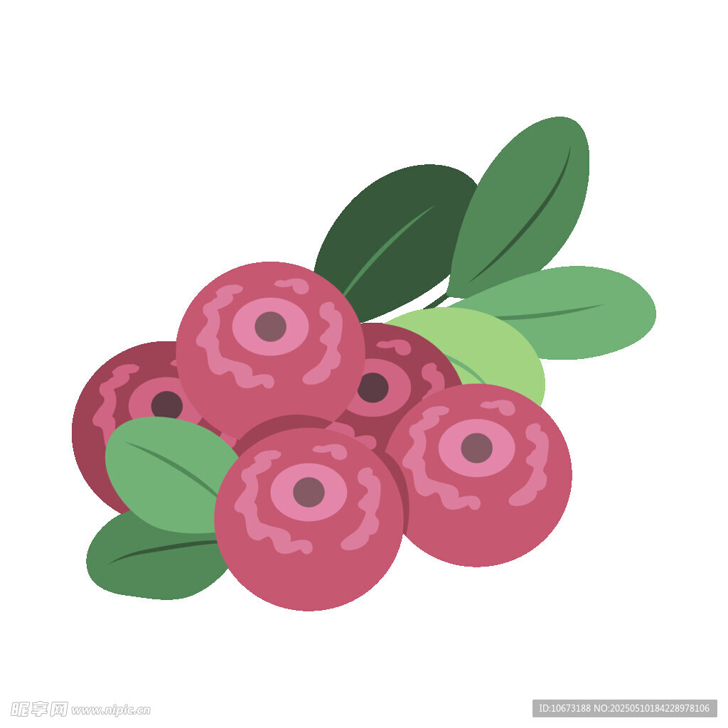 可爱蔓越莓插画