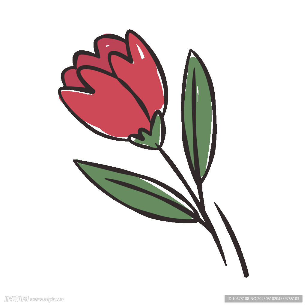手绘红色花朵插画