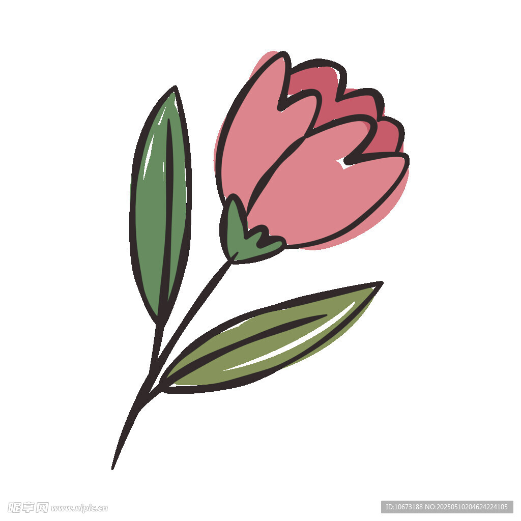 手绘粉色花朵插画