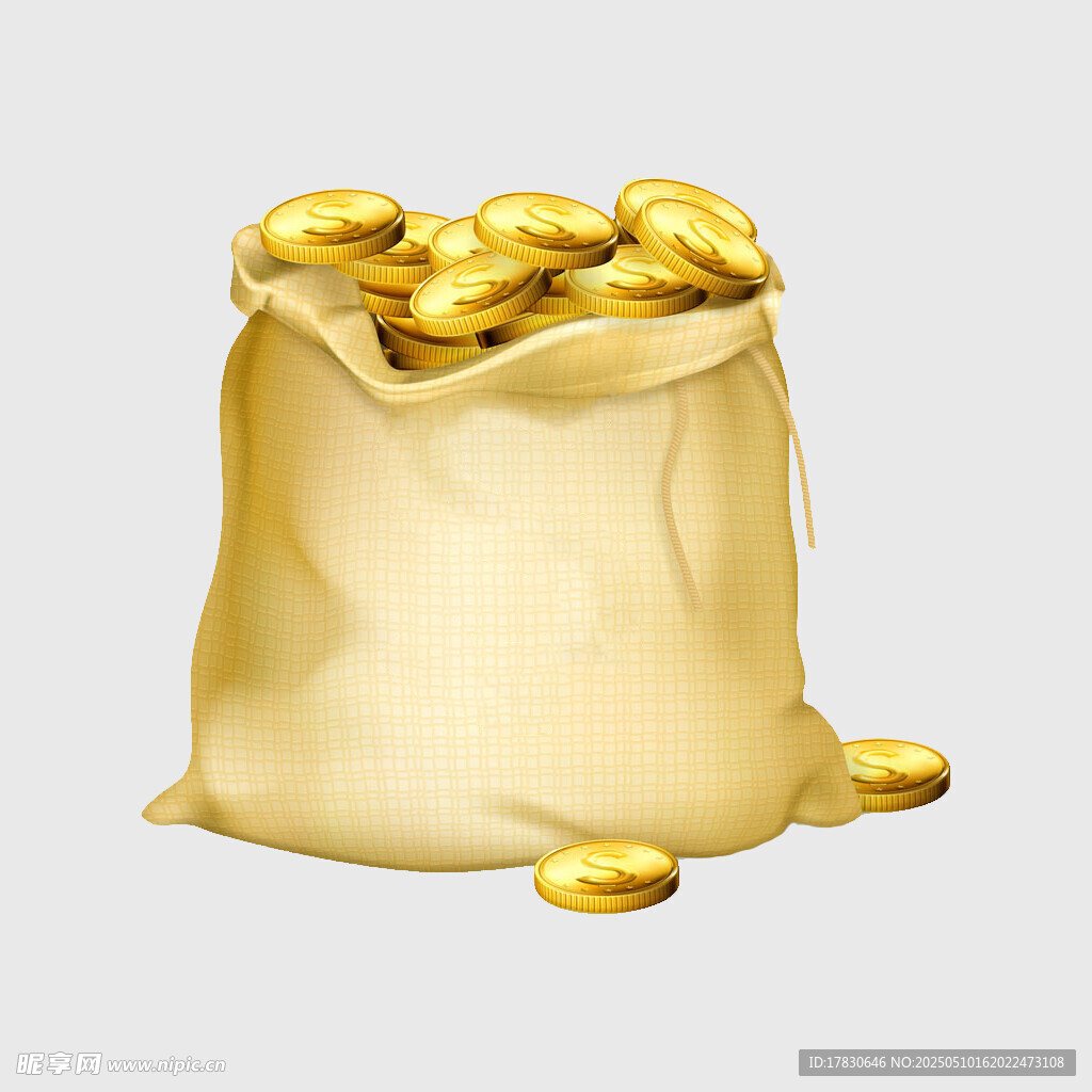 装满金币的袋子