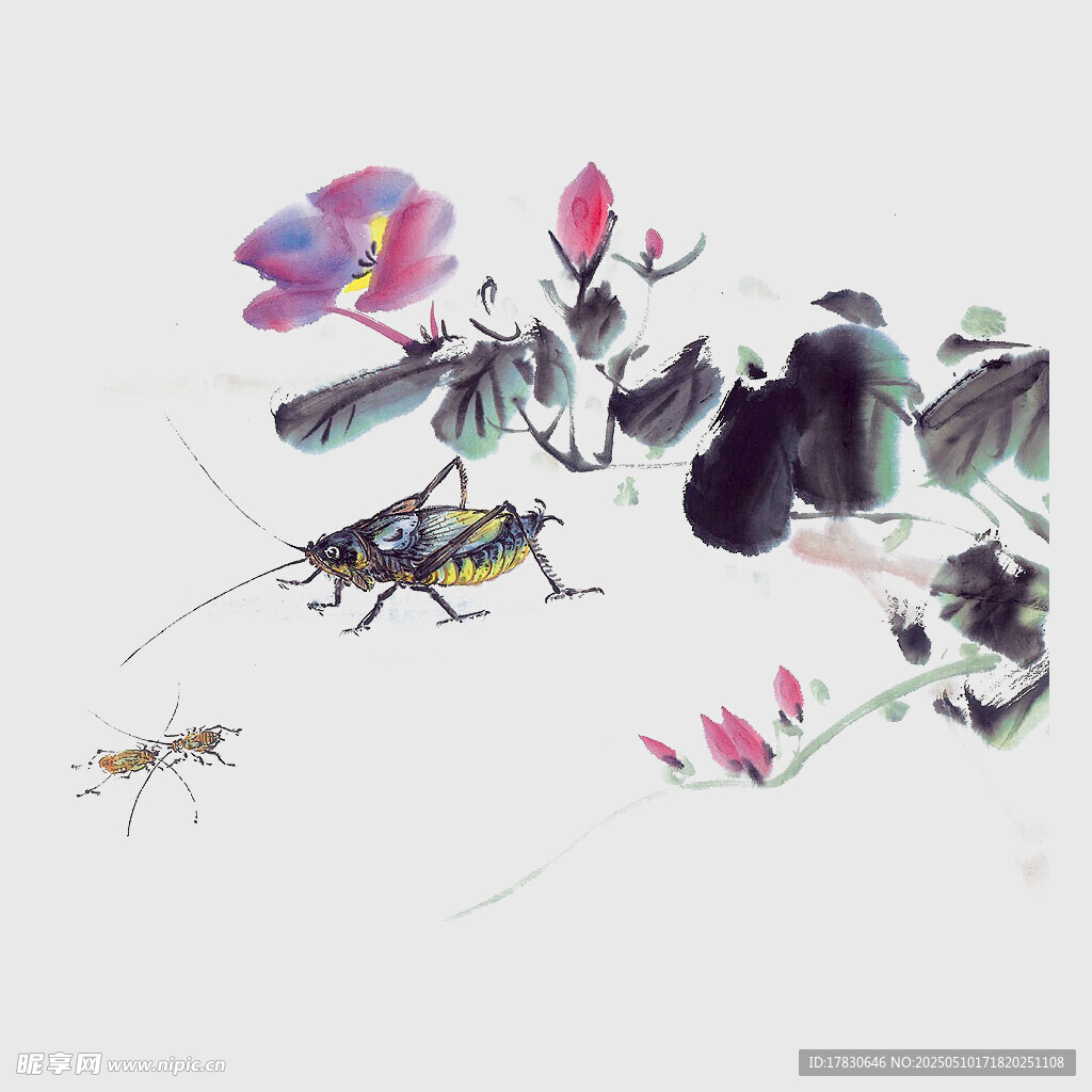 水墨昆虫花卉写意画