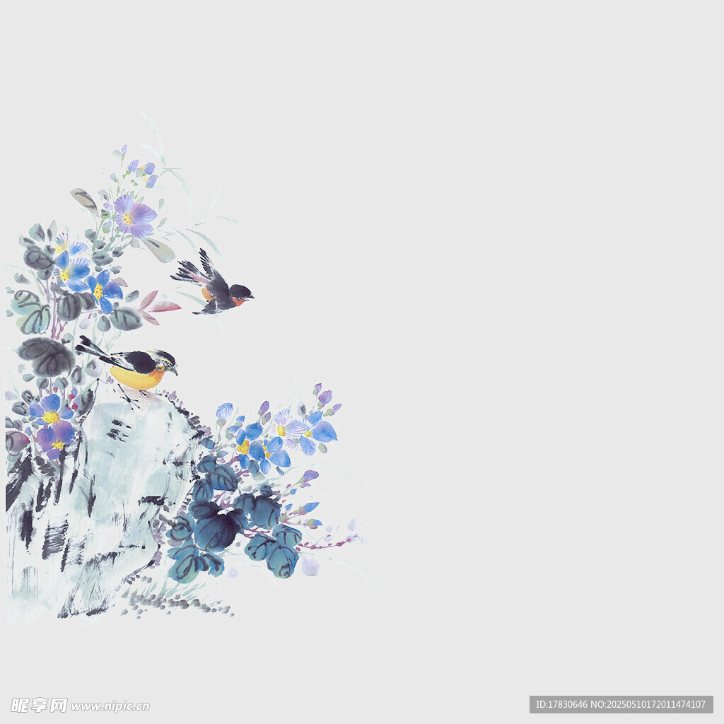 花鸟水彩画 灵动自然之美