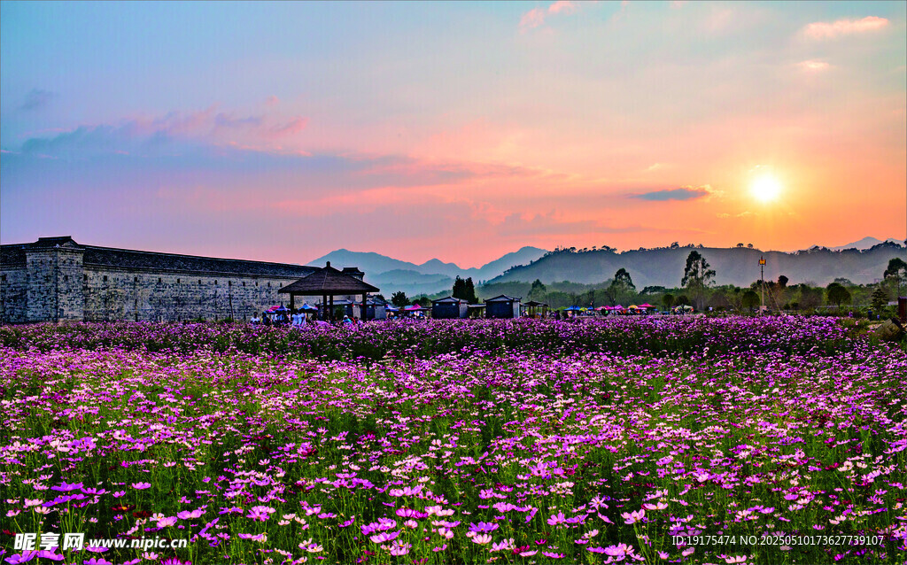 东生围日落