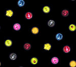 星球