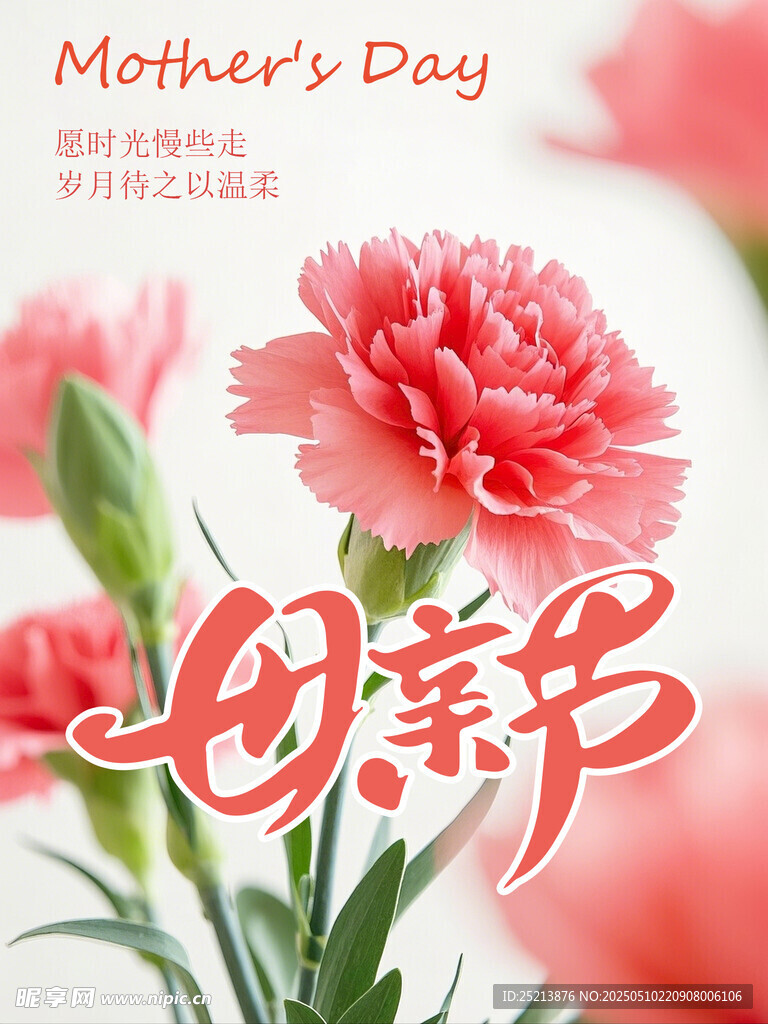 母亲节康乃馨花卉海报