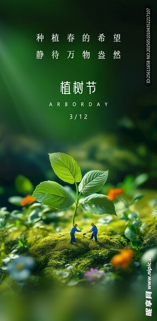 植树节