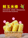 鲜玉米