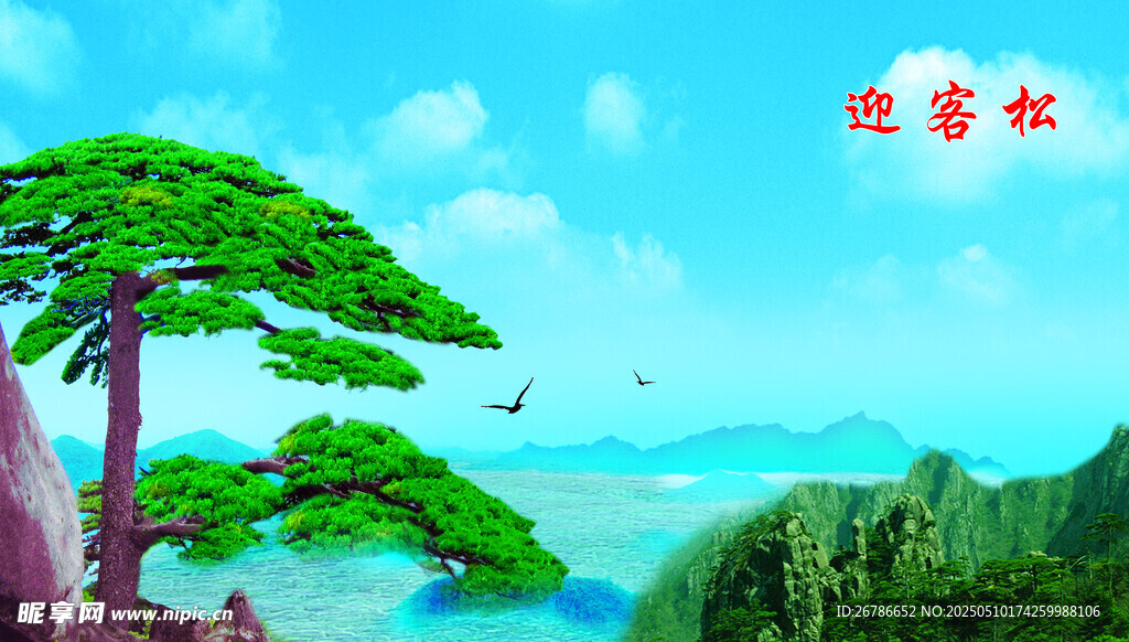 迎客松景观图