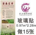 艾灸馆艾草易拉宝艾草展架