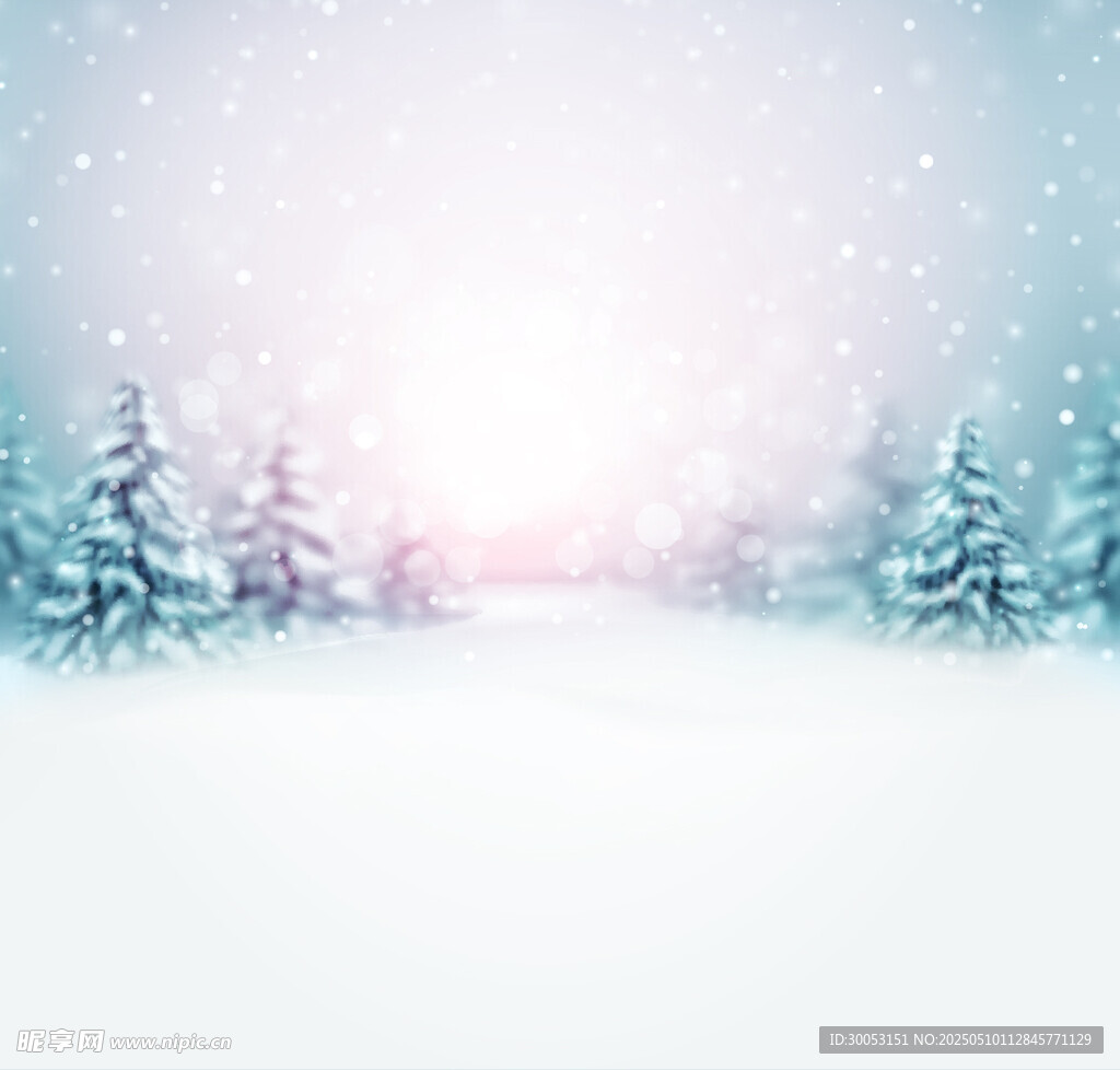 冬日雪景中的静谧松树林